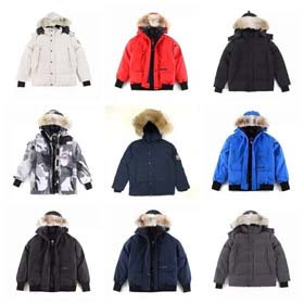 Ganso canadiense - 0815