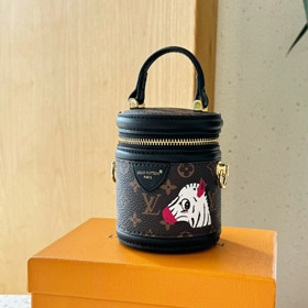 Louis Vuitton LV Mini Fortune Bucket Crossbody Bolso-4069  