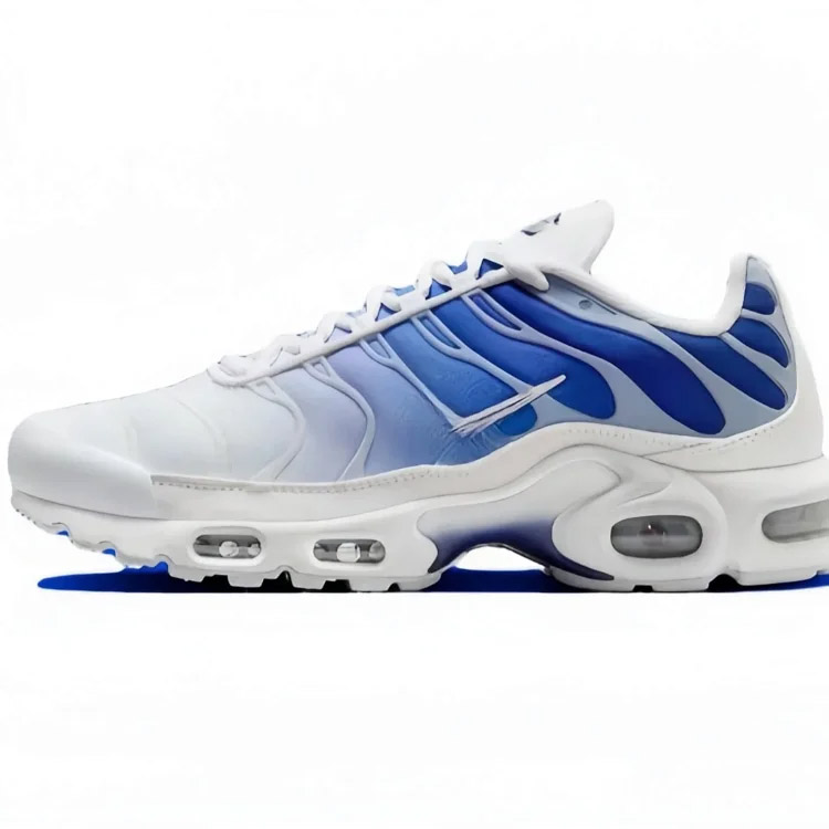 Nike Air Max Plus clásico confort baja-top zapatos acolchados de aire-2869  